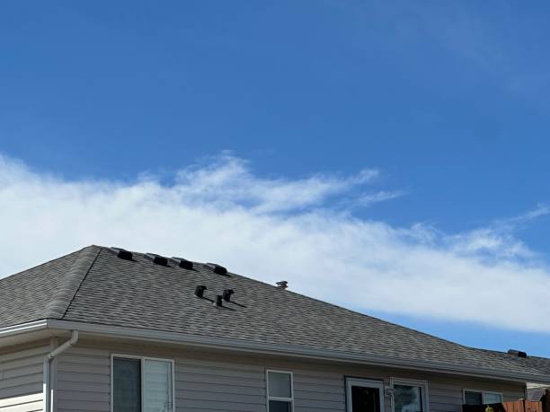Best Roof Coating and Sealing  in Pinch, WV